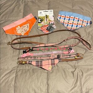Colorful Dog Bandanas and Collars Set
